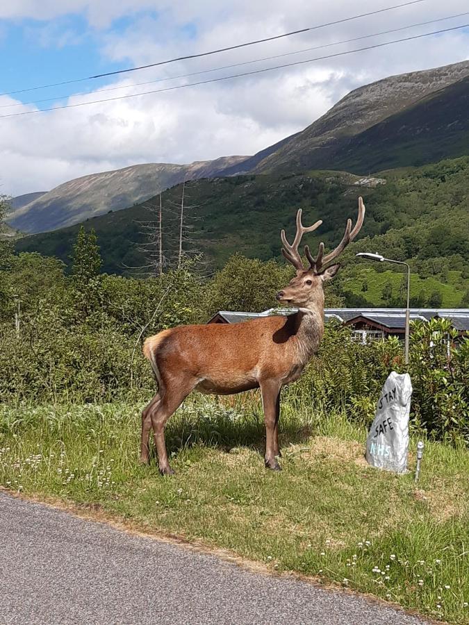 Etive Pod, West Highland Way Holidays คินลอคคลีเวน ภายนอก รูปภาพ